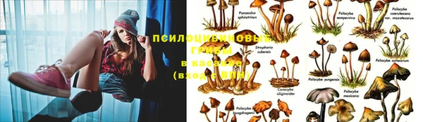 меф VHQ Надым