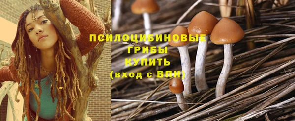 ешки Медвежьегорск