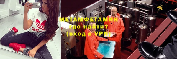 индика Новозыбков