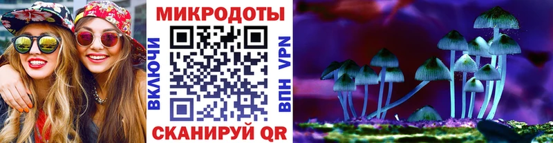 Галлюциногенные грибы Psilocybe  Купить  Алупка 